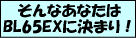 ����Ȃ��Ȃ��͂a�k65EX�Ɍ��܂�I